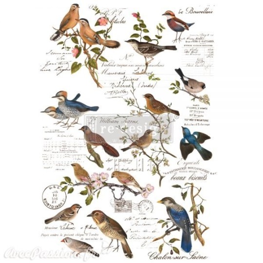 Transfert pelliculable Redesign by Prima Postal Birds