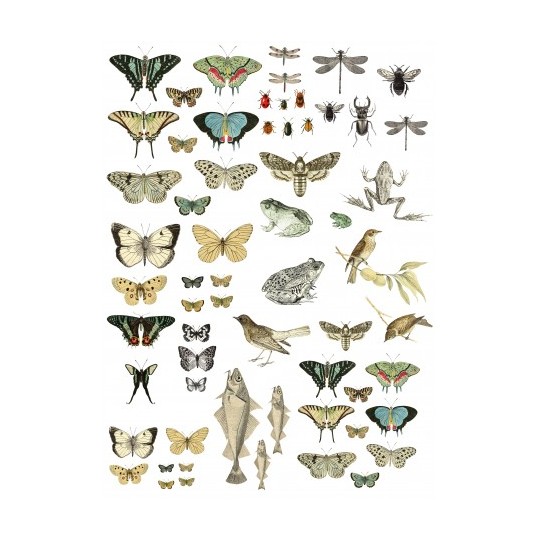 Transfert pelliculable IOD Iron Orchid Designs X 61x84cm Transfert pelliculable IOD Iron Orchid Designs X 61x84cm
