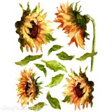 Transfert pelliculable IOD Iron Orchid Designs Painterly Florals 8 feuilles 30x40cm