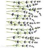 Transfert pelliculable IOD Iron Orchid Designs Painterly Florals 8 feuilles 30x40cm