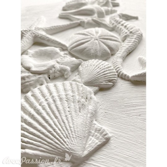 Moule décoratif IOD Iron Orchid Designs en silicone Sea Shells