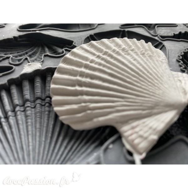 Moule décoratif IOD Iron Orchid Designs en silicone Sea Shells