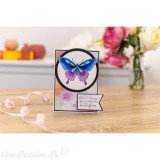 Tampon clear stamps Crafter's Companion Dreams Take Flight 9x14cm