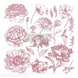 Tampons Redesign Clear Stamps LINEAR FLORAL