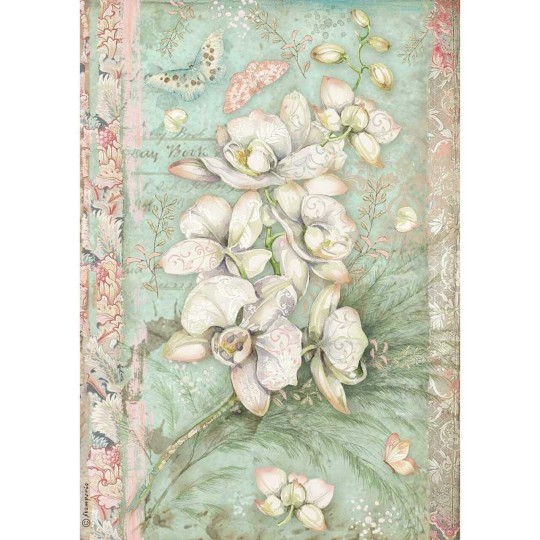 Papier de riz Stamperia 21x29,7cm Orchidée blanche