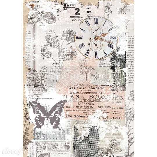 Papier de riz Redesign 41x29cm Herb's Memory