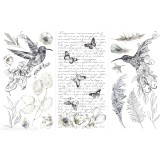 Transfert pelliculable Hokus Pokus Décalcomanie Plume Et Fleurs