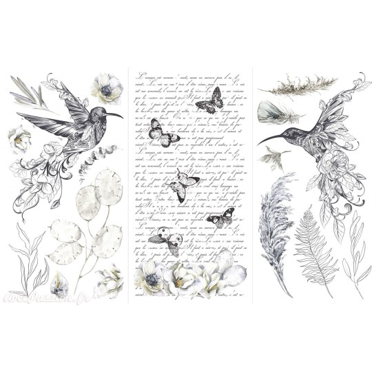 Transfert pelliculable Hokus Pokus Décalcomanie Plume Et Fleurs