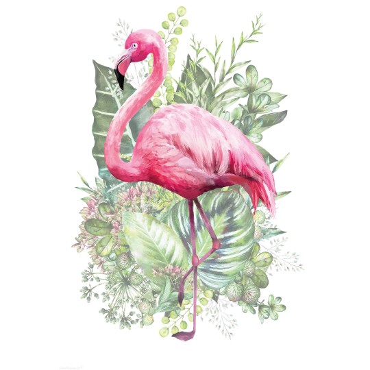 Transfert pelliculable Hokus Pokus Décalcomanie Flamand rose 40x28 Transfert pelliculable Hokus Pokus Décalcomanie Flamand rose 40x28