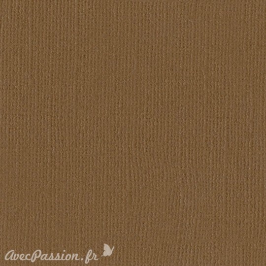 Papier scrapbooking Bazzill Canvas 30x30cm 1fe uni Walnut