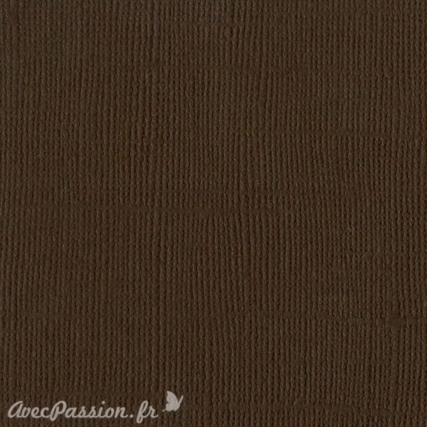 Papier scrapbooking Bazzill Canvas 30x30cm 1fe uni Brown