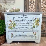 Transfert pelliculable Redesign Botanical Magazine 61x89cm