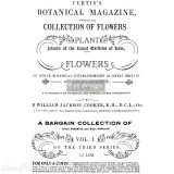Transfert pelliculable Redesign Botanical Magazine 61x89cm