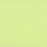 Papier scrapbooking Bazzill Canvas 30x30cm 1fe uni Limeade