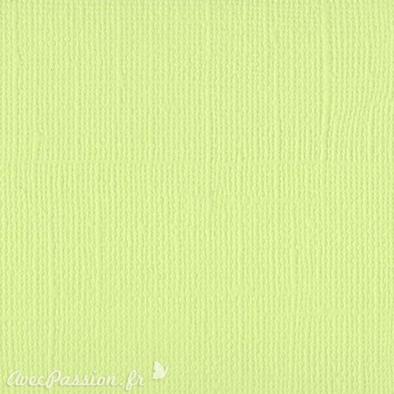 Papier scrapbooking Bazzill Canvas 30x30cm 1fe uni Limeade