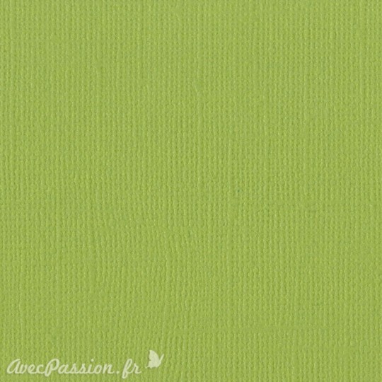 Papier scrapbooking Bazzill Canvas 30x30cm 1fe uni Parakeet