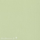Papier scrapbooking Bazzill Canvas 30x30cm 1fe uni Aloe Vera