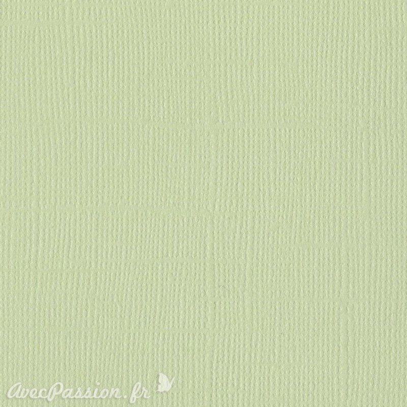 Papier scrapbooking Bazzill Canvas 30x30cm 1fe uni Aloe Vera