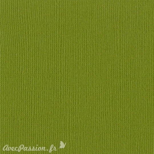 Papier scrapbooking Bazzill Canvas 30x30cm 1fe uni Hillary