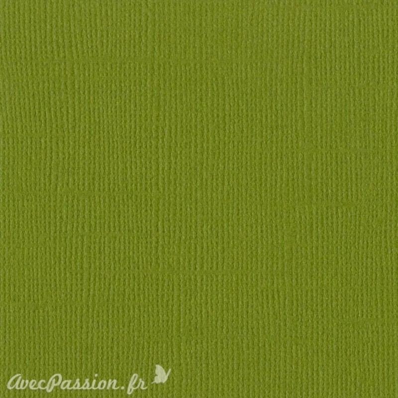 Papier scrapbooking Bazzill Canvas 30x30cm 1fe uni Hillary