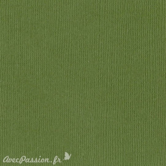 Groovi papier parchemin 2 tons de vert olive anis 40771 10f