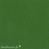Papier scrapbooking Bazzill Canvas 30x30cm 1fe uni Bazzill Green