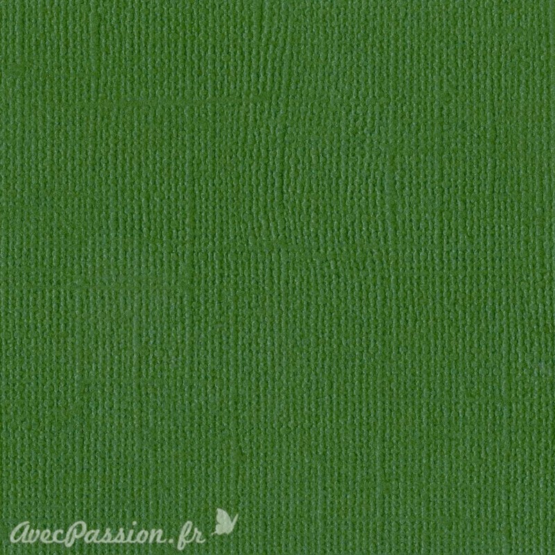 Papier scrapbooking Bazzill Canvas 30x30cm 1fe uni Bazzill Green