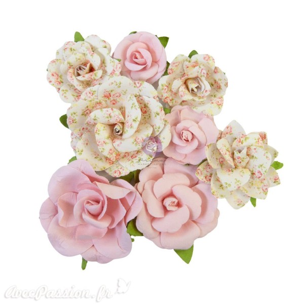 Fleurs Prima my sweet collection friends always 8pcs 3,8cm