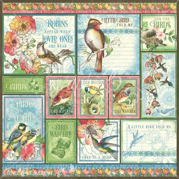 Papier scrapbooking assortiment Graphic 45 Bird Watcher Collection Pack 16fe 30x30