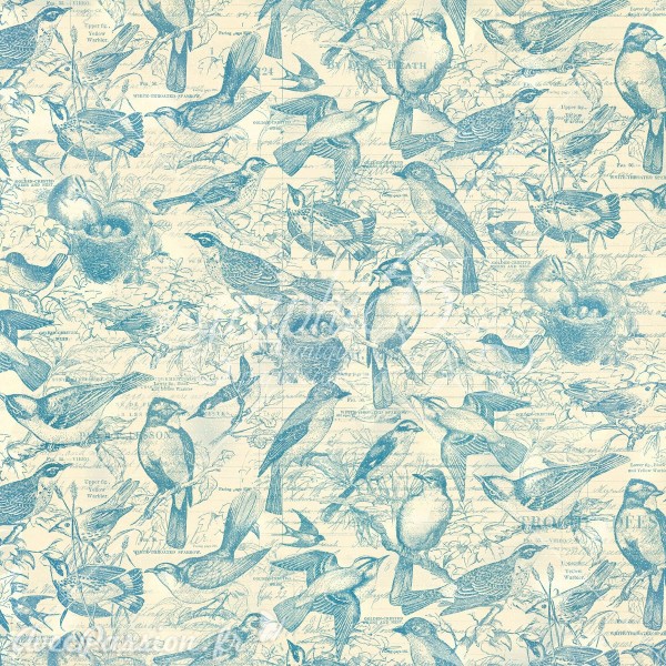 Papier scrapbooking assortiment Graphic 45 Bird Watcher Collection Pack 16fe 30x30