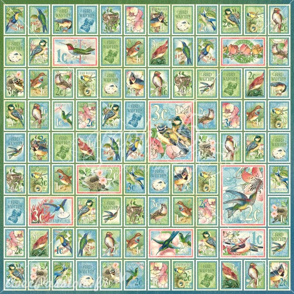 Papier scrapbooking assortiment Graphic 45 Bird Watcher Collection Pack 16fe 30x30