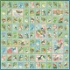 Papier scrapbooking assortiment Graphic 45 Bird Watcher Collection Pack 16fe 30x30