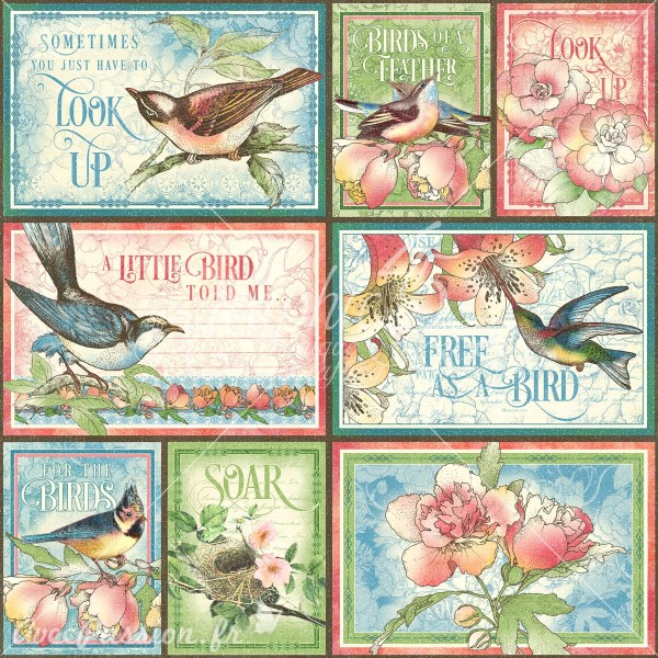 Papier scrapbooking assortiment Graphic 45 Bird Watcher Collection Pack 16fe 30x30