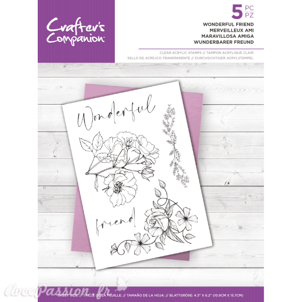 Tampon clear stamps Crafter's Companion Wonderful Friend 11x15.7cm