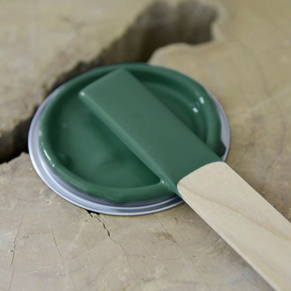 Peinture à la craie Vintage Paint Forest Green 