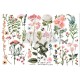 Transfert pelliculable Redesign Botanical Paradise 15x30cm