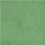 Papier népalais lokta Lamali vert tilleul