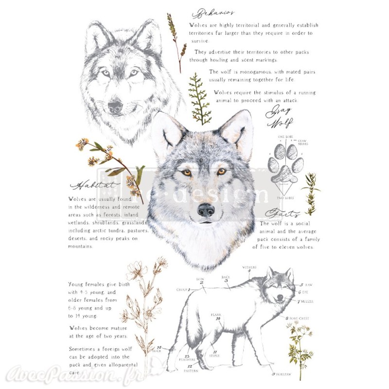 Transfert pelliculable Redesign Gray Wolf