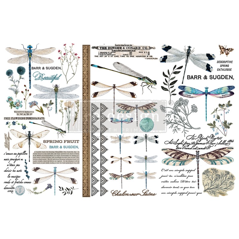 Transfert pelliculable Redesign Spring Dragonfly 15x30cm