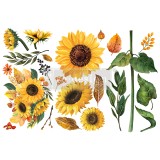 Transfert pelliculable Redesign Sunflower Afternoon15x30cm