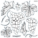 Tampons IOD Clear Stamps Grapes