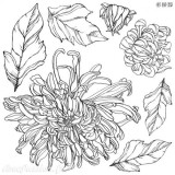Tampons IOD Clear Stamps Chrysanthemums