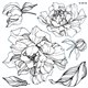 Tampon double plaque IOD Clear Stamps Peonies