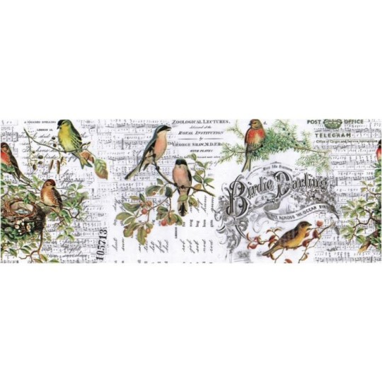 Papier pour collage Tim Holtz rouleau 15cmx5.49m Aviary idea-ology