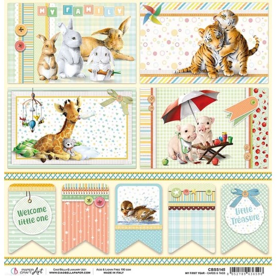 Feuille scrapbooking Ciao Bella My First Year Cards & Tags 30x30 double face