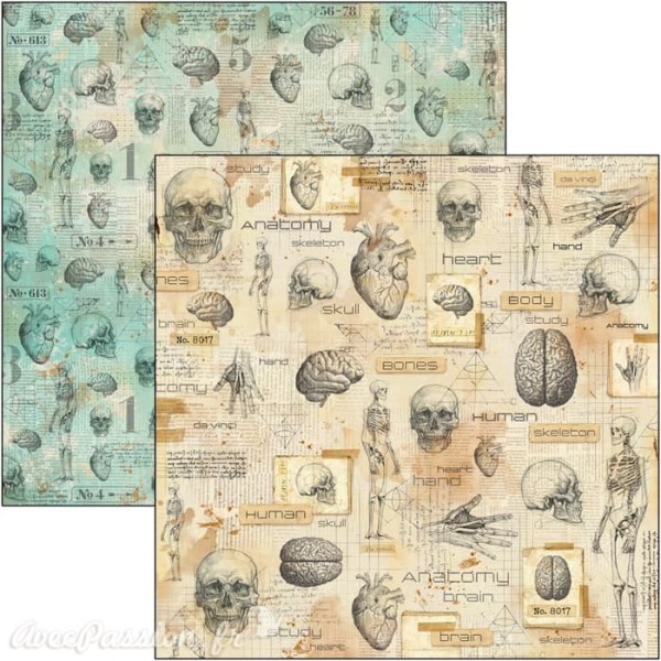 Feuille scrapbooking Ciao Bella Human Anatomy 30x30 double face