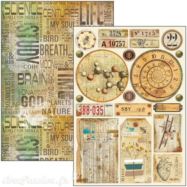 Papier scrapbooking Ciao Bella Sign of the Times 9fe A4 assortiment