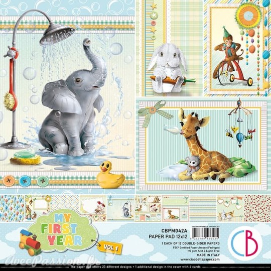 Papier scrapbooking Ciao Bella My First Year Vol.1 12fe 30x30 assortiment