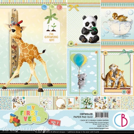 Papier scrapbooking Ciao Bella My First Year Vol.2 12fe 30x30 assortiment