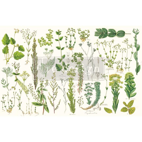 Papier de Murier Mulberry Decoupage Decor Tissue Paper Greenery Redesign 48x76cm